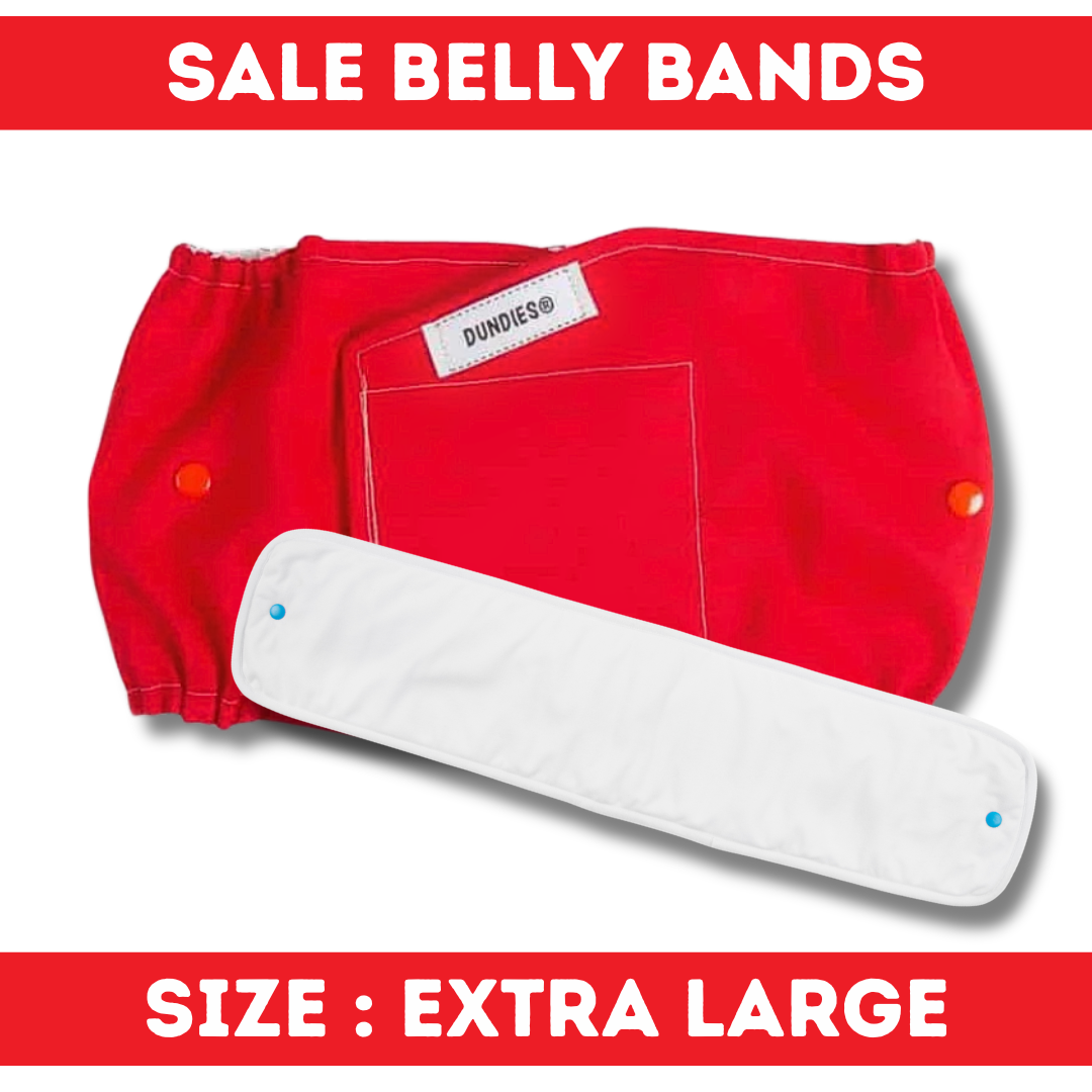 Dundies Belly Band - Extra Large - SALE