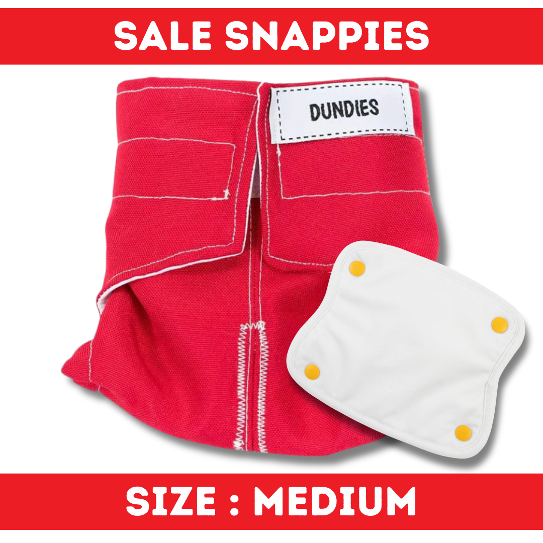 Dundies Snappie - Medium - SALE