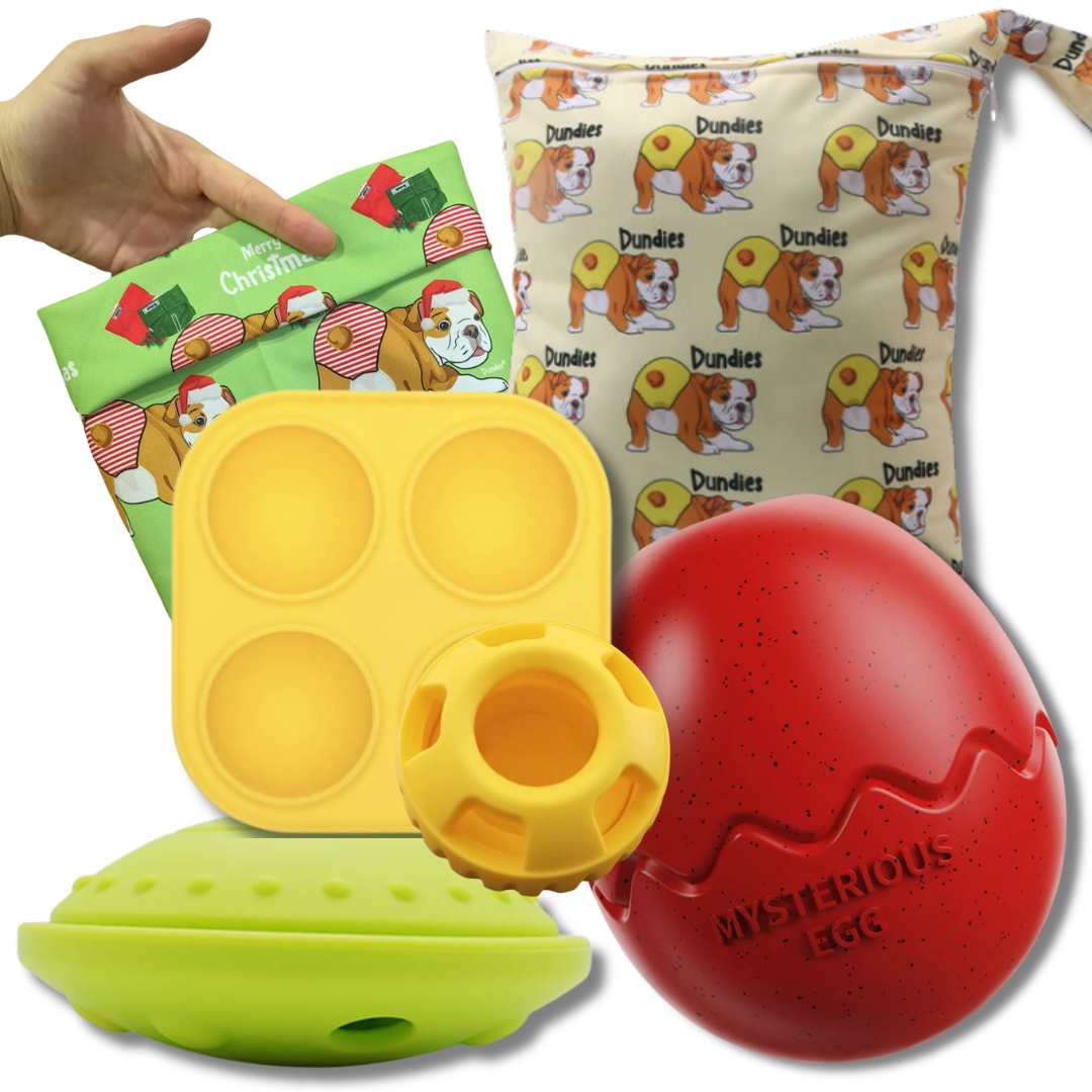 Summer Santa Christmas Enrichment Bundle