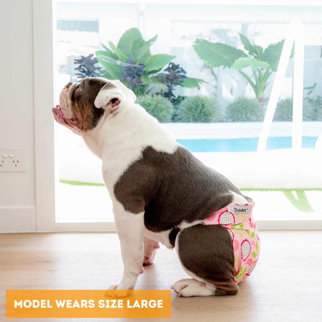 Dundies Summer Salad All In One Nappy V2 (AIO)