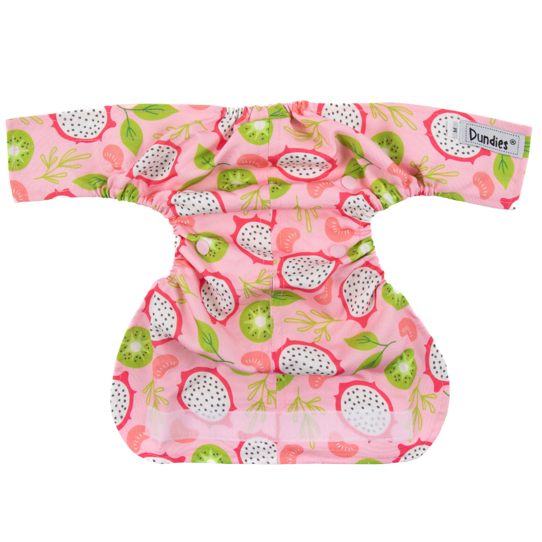 Dundies Summer Salad All In One Nappy V2 (AIO)