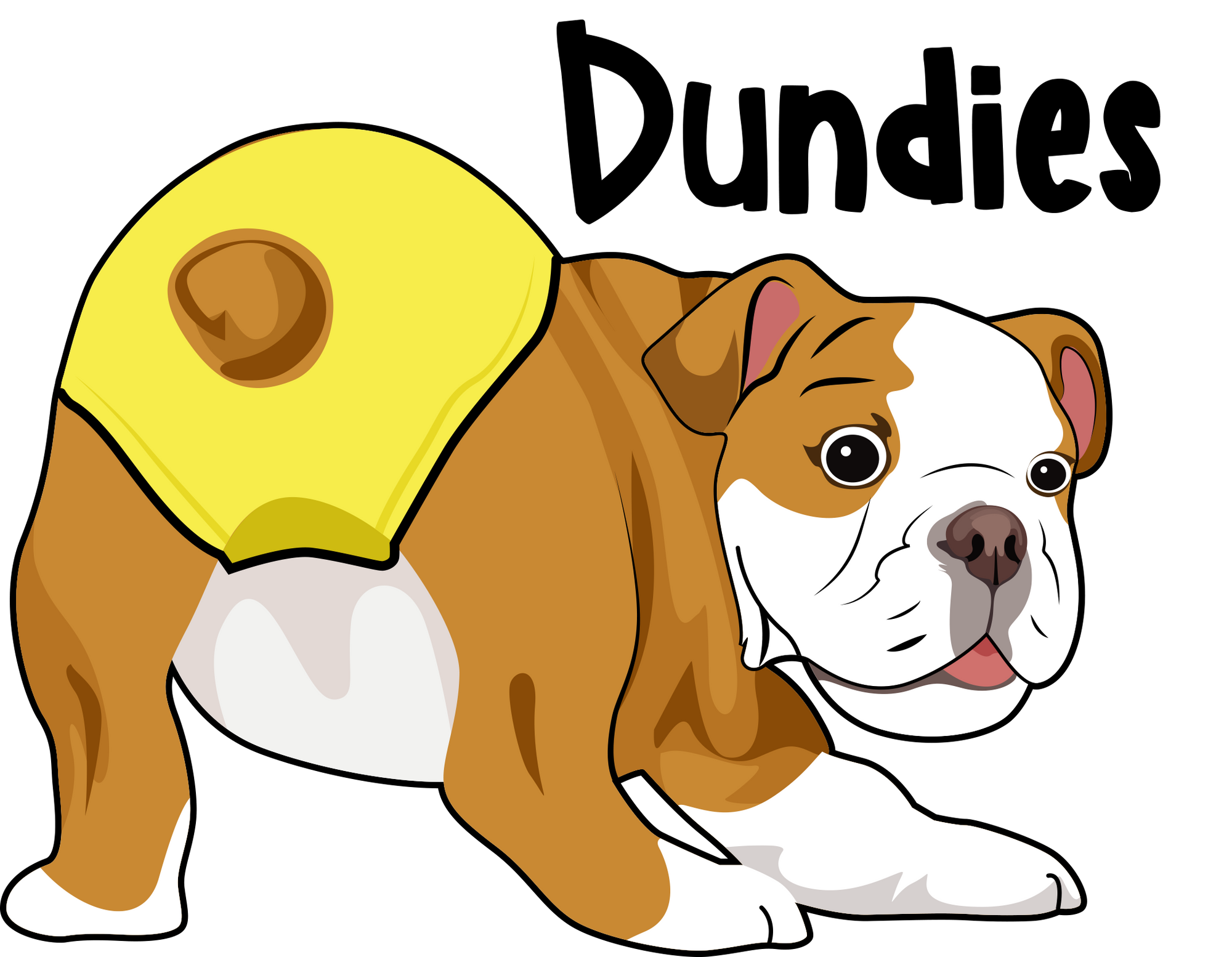 Dundies Premium Reusable Dog Nappies