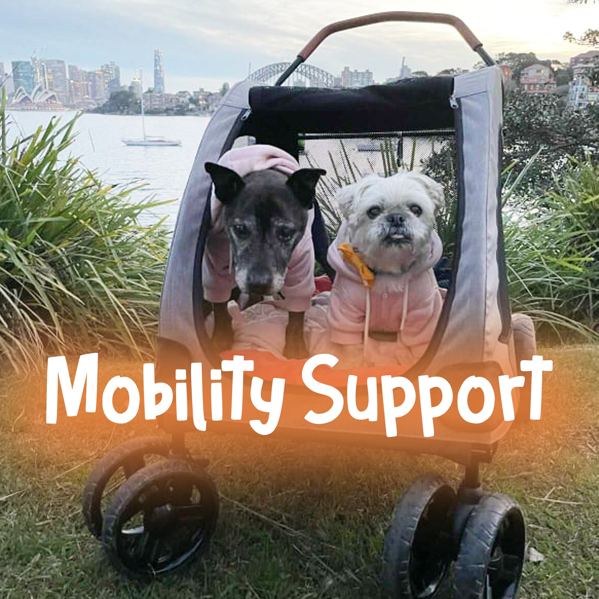 Dundies Pet Mobility Support Products  