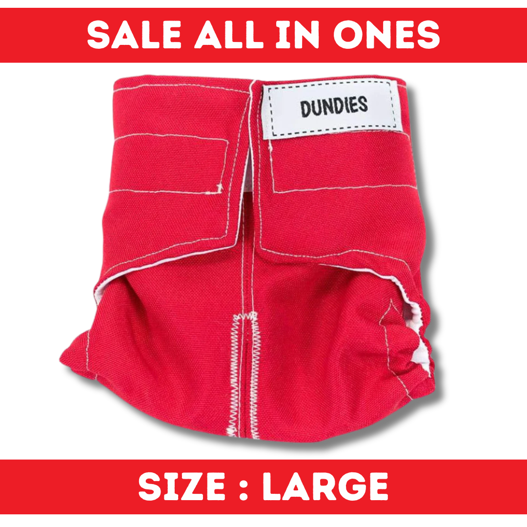 Dundies All In One - Large - SALE