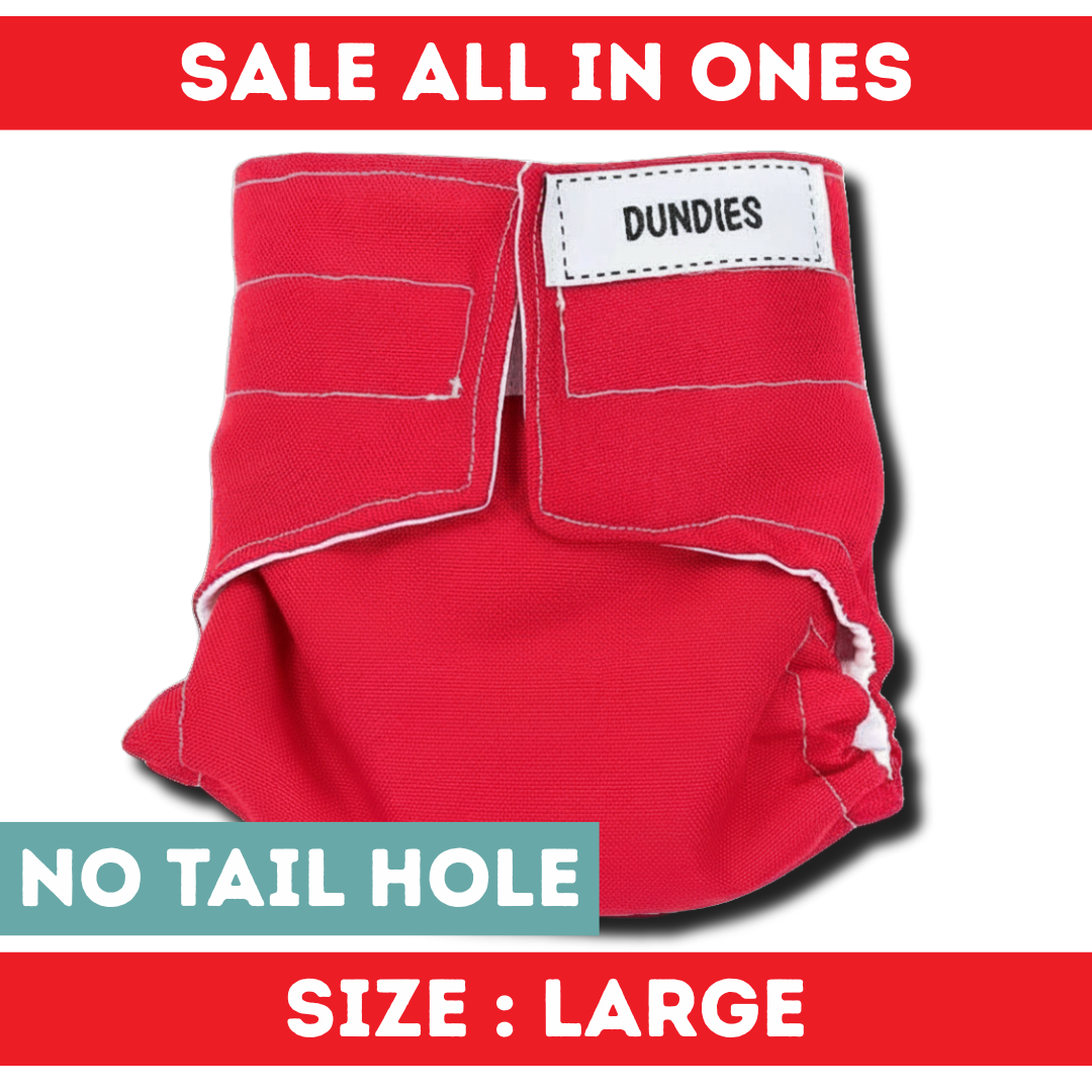 Dundies All In One - Large - No Tail Hole - SALE