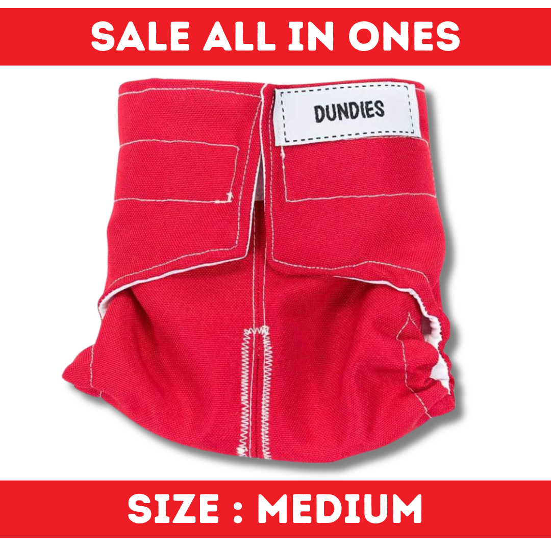 Dundies All In One - Medium - SALE