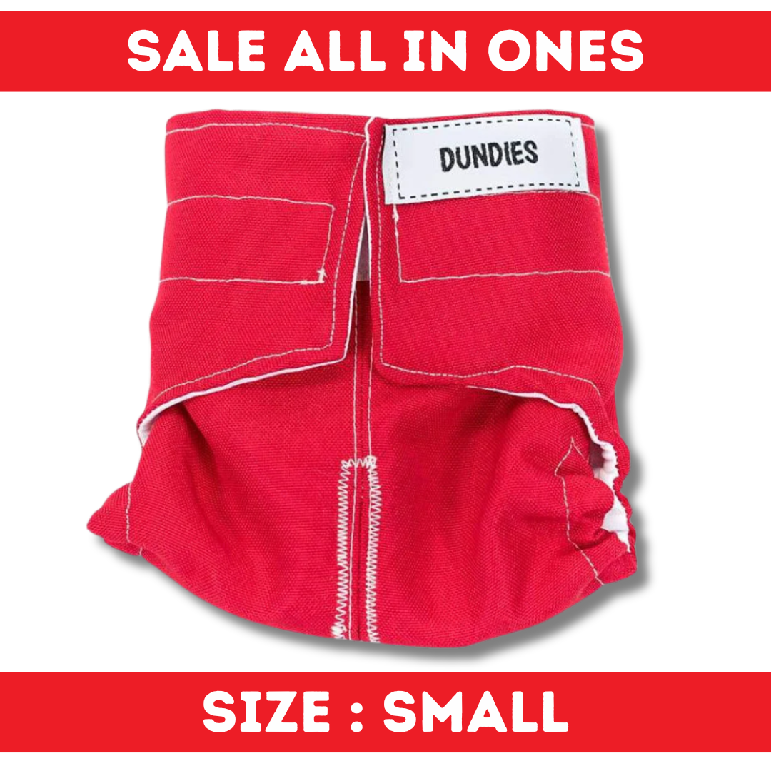 Dundies All In One - Small - SALE