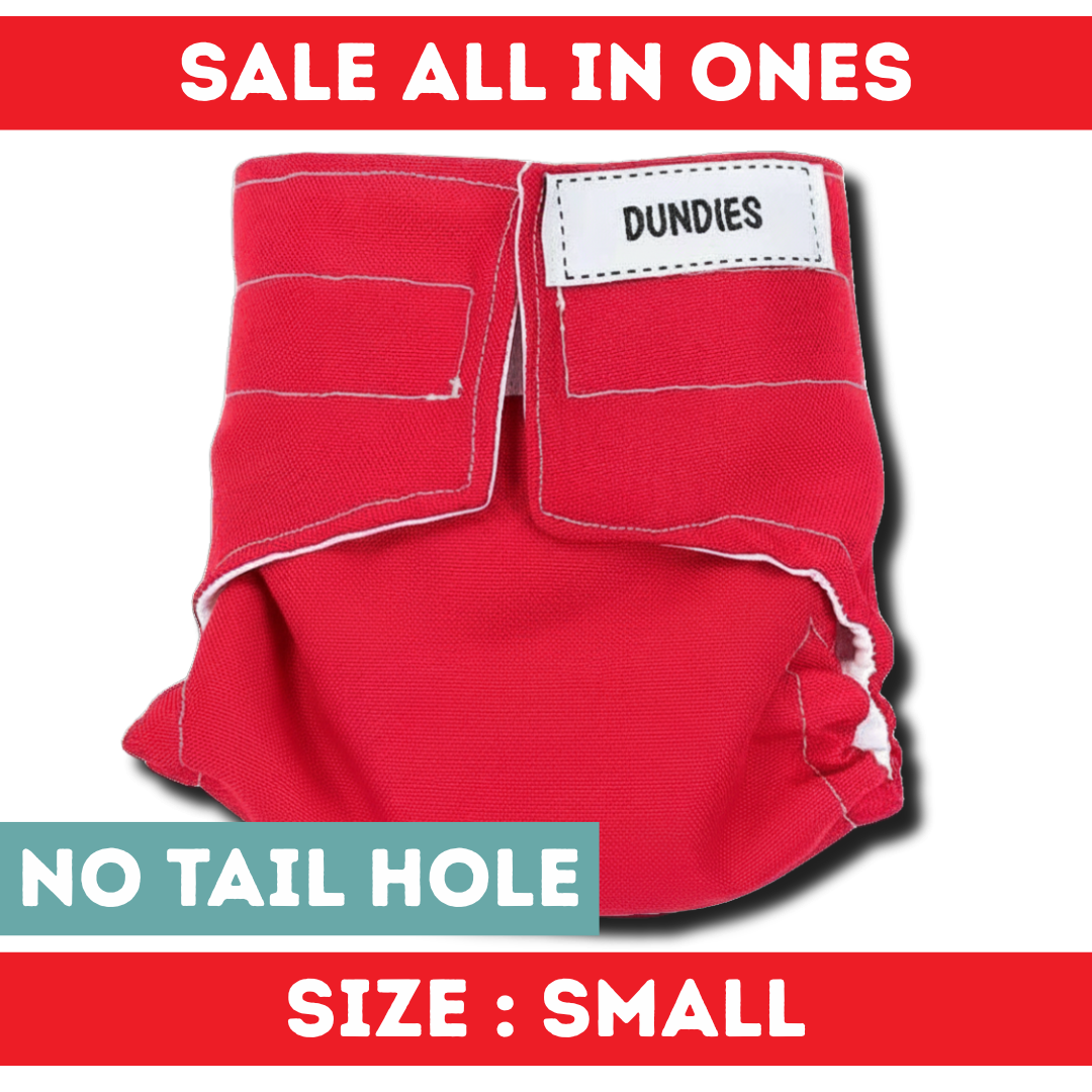 Dundies All In One - Small - No Tail Hole - SALE
