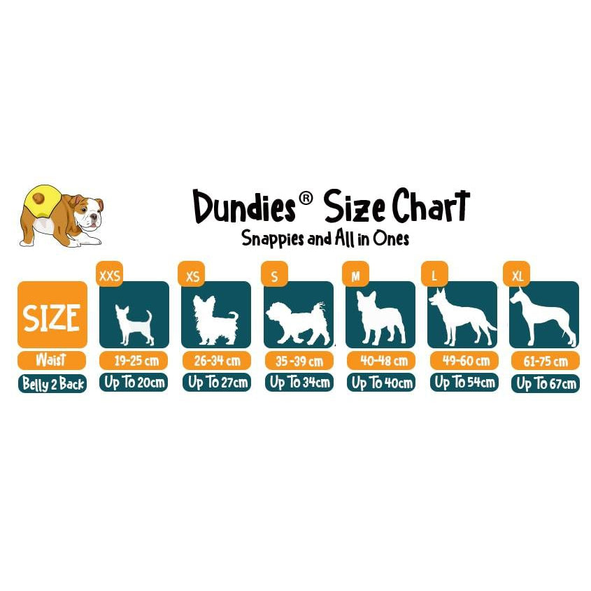 Dundies Geo All In One Nappy (AIO)-Dundies Australia - Vet Recommended Pet Nappies