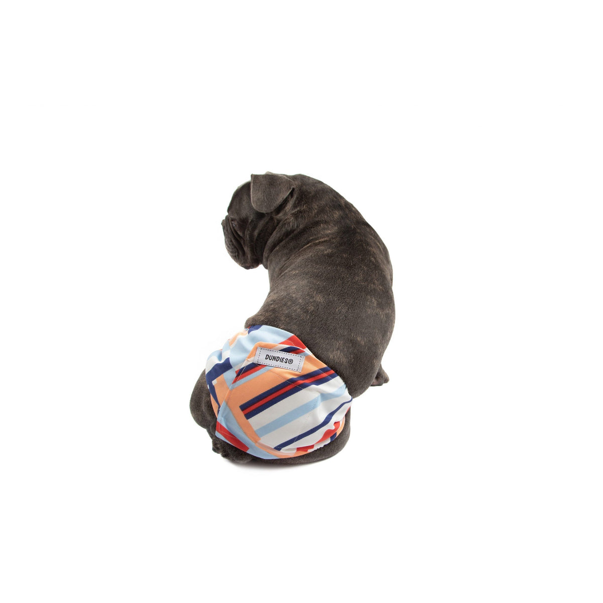 Dundies Sherbet Belly Band-Dundies Australia - Vet Recommended Pet Nappies