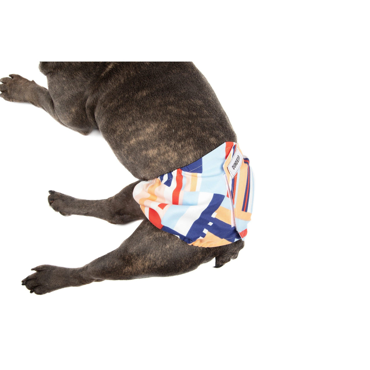 Dundies Sherbet Belly Band-Dundies Australia - Vet Recommended Pet Nappies