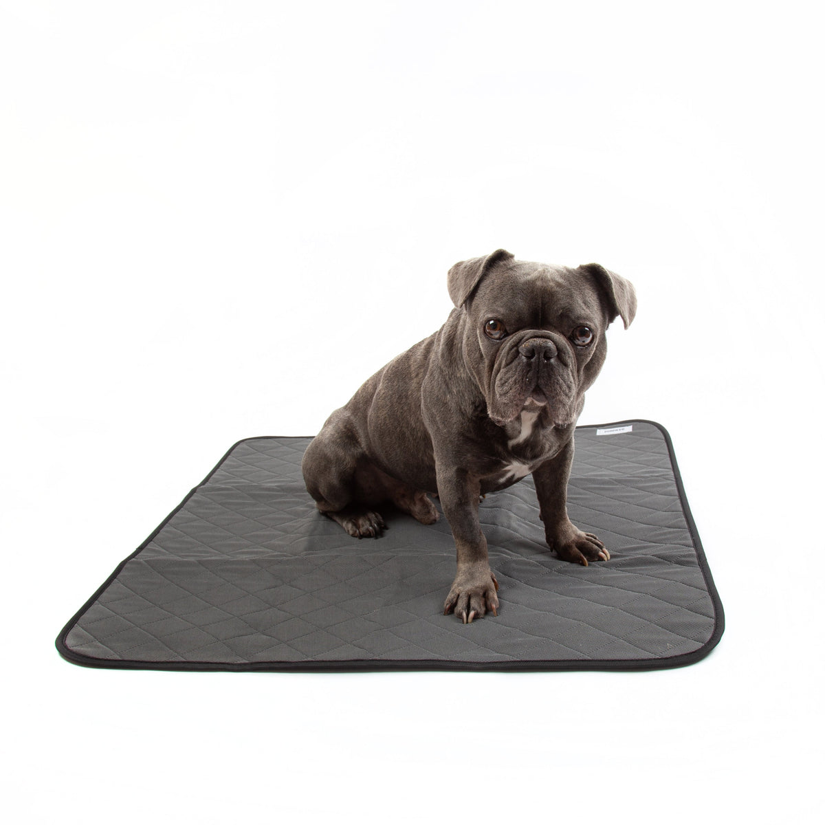 Dundies® Washable Puppy Pad-Dundies Australia - Vet Recommended Pet Nappies