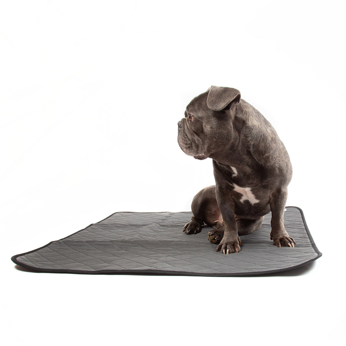 Dundies® Washable Puppy Pad Twin Pack-Dundies Australia - Vet Recommended Pet Nappies