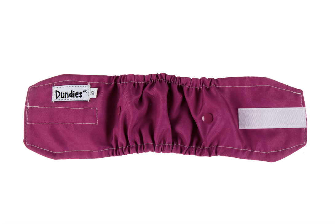 Dundies Mulberry Belly Band
