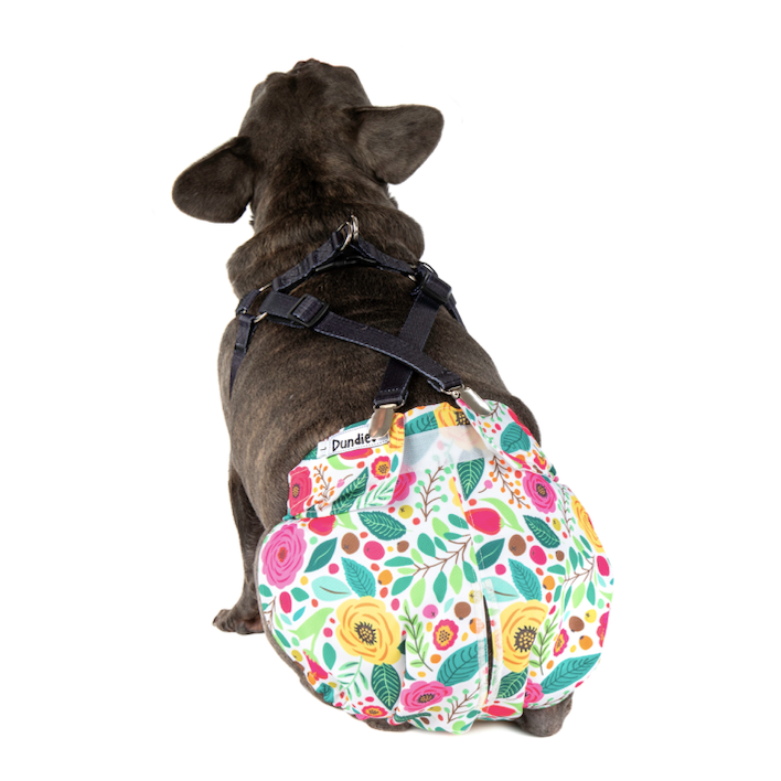 Dundies Dog Diaper Suspender Harness