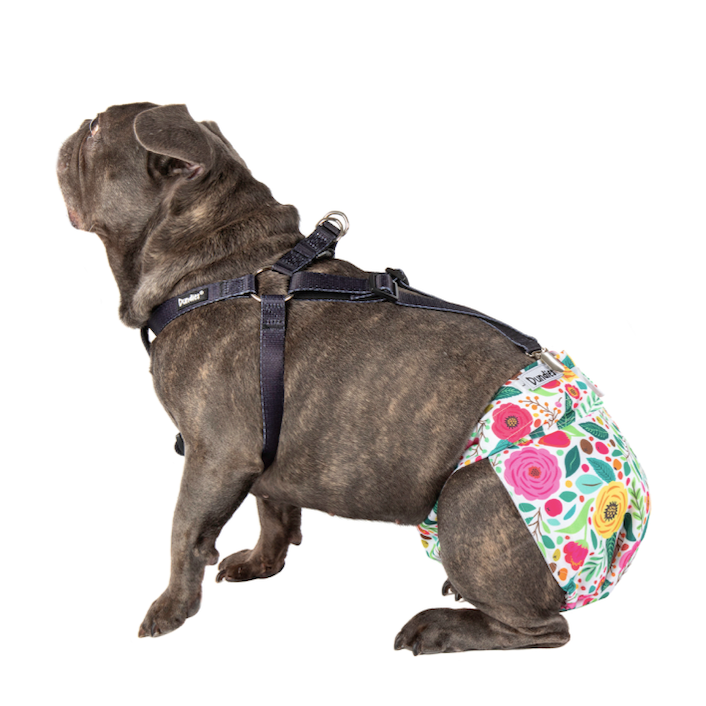 Pug nappies sales